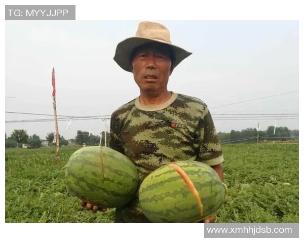 西瓜之名背后的故事哪位足球明星因外貌而被称为西瓜引发热议